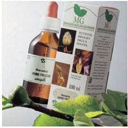 BETULLA 100ML MG-1