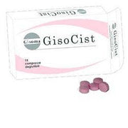 Gisocist 15 Compresse Deglutibili  - 1