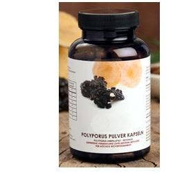 POLVERE DI POLYPORUS 120CPS-1