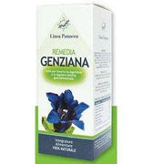 REMEDIA GENZIANA 80CPS-1