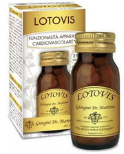 LOTOVIS 100PAST-1
