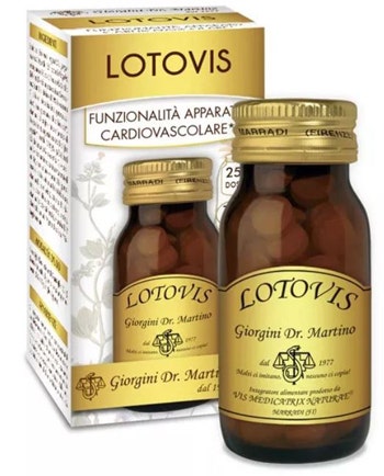 LOTOVIS 100PAST-1