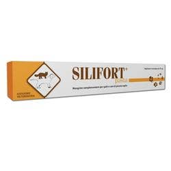 SILIFORT PASTA OS SIRINGA 15G  - 1