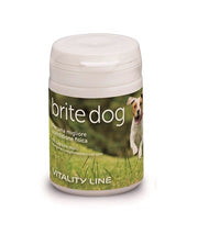 BRITE DOG 60CPS MOLLI-1