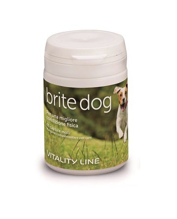 BRITE DOG 60CPS MOLLI-1