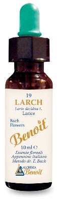 BENOIT FIORI DI BACH LARCH-1