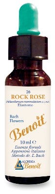 BENOIT FIORI DI BACH ROCK ROSE-1