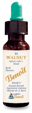 BENOIT FIORI DI BACH WALNUT-1