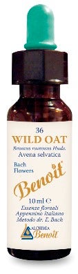 BENOIT FIORI DI BACH WILD OAT-1