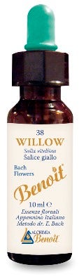 BENOIT FIORI DI BACH WILLOW-1