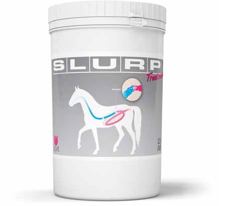 SLURP TREATMENT 800G-1