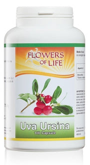 UVA URSINA 100CPS FLOWERS OF L-1
