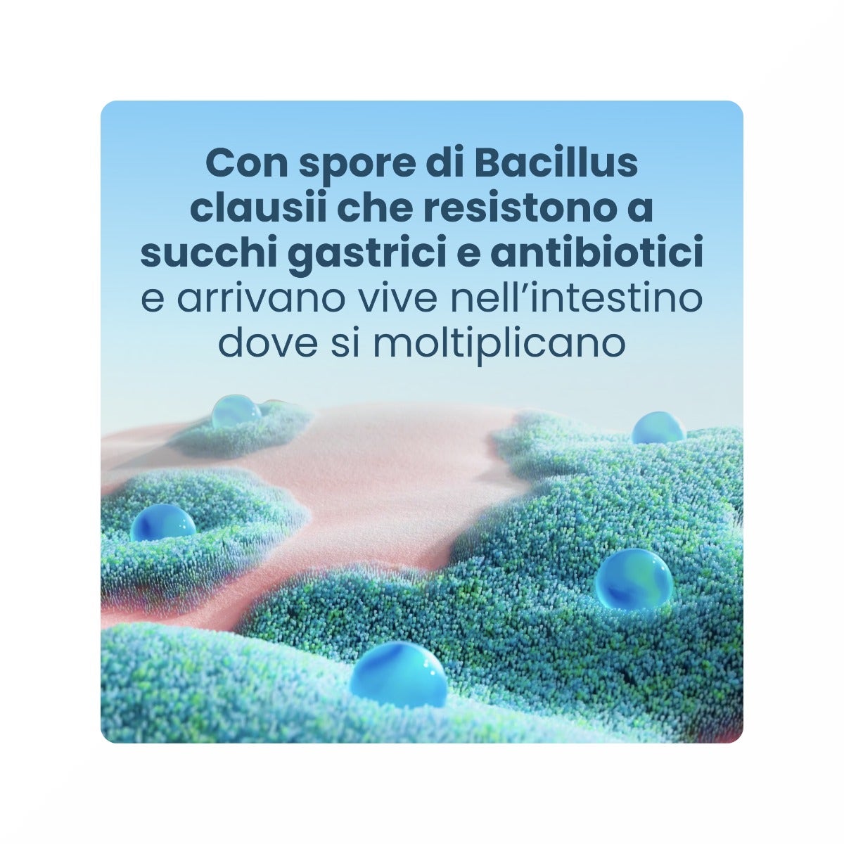 Enterogermina 4 Miliardi Fermenti Lattici Probiotici per Disturbi Intestinali 10 Fiale-26