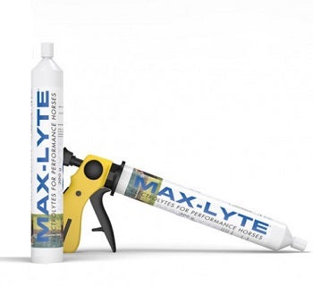 Max Lite Pasta Mangime Complementare Per Equini Sportivi Siringa 100g-1