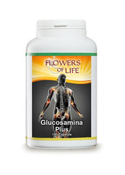 GLUCOSAMINA PLUS 100CPS FLOWE-1