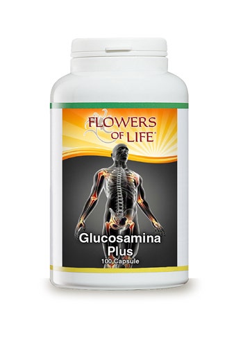 GLUCOSAMINA PLUS 100CPS FLOWE-1