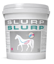 Acme Slurp Polvere Per Equini 10g-1