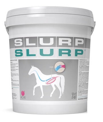 Acme Slurp Polvere Per Equini 10g-1