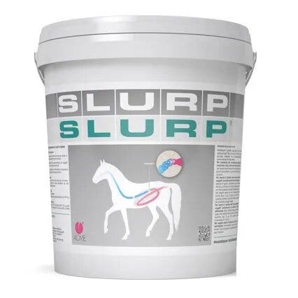 Acme Slurp Polvere Per Equini 10g-2