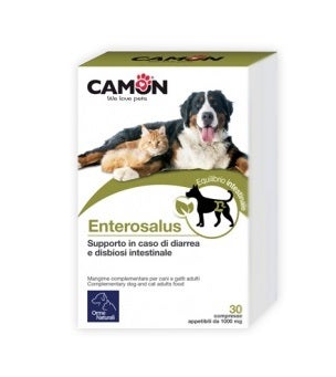 ENTEROSALUS 30CPR 1G-1