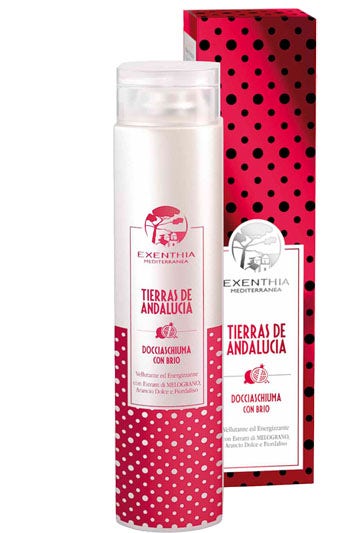 EXENTHIA M DOCCIA TIER ANDALUC-1