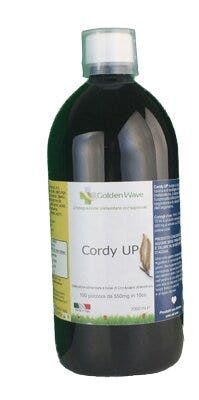 CORDY UP 1L-2