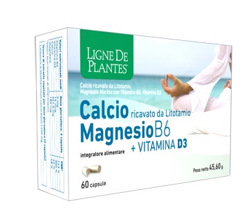 CALCIO+MAGNESIO B6+VITD3 60CPS-1