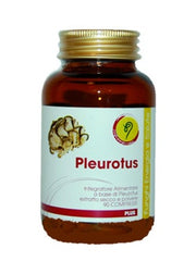 PLEUROTUS LINEA PLUS 90CPR-1