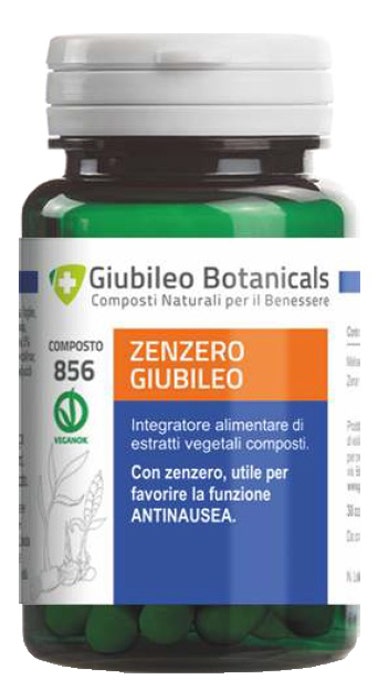 ZENZERO GIUBILEO 50CPS-1