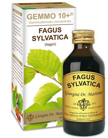 FAGGIO 100ML ANALCO GEMMO 10+-1