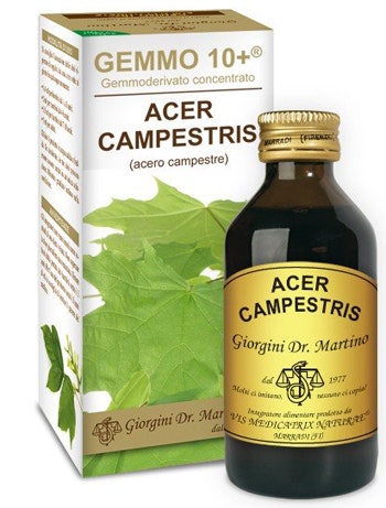 ACERO CAMP 100ML ANALCO GEM10+-1