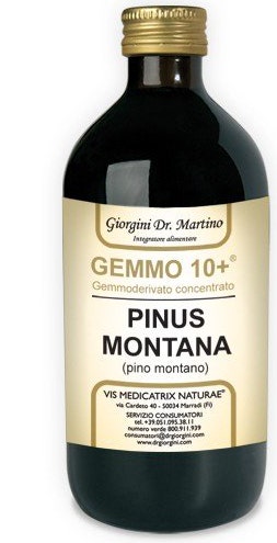PINO MONT 500ML ANALCO GEM 10+-1