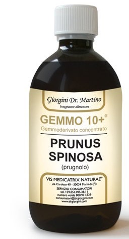 PRUGNOLO 500ML ANALCO GEMMO10+-1