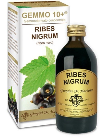 Gemmo 10+ Ribes Nero Liquido Analcolico 200ml  - 1