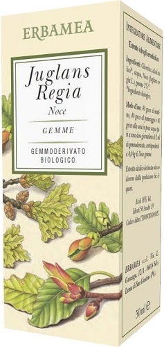 JUGLANS REGIA NOCE BIO 50ML-1