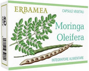 MORINGA OLEIFERA 24CPS-1