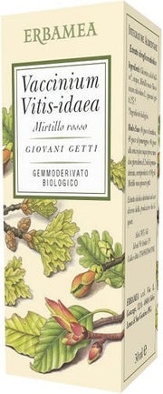 VACCINIUM VITIS IDAEA BIO 50ML-1