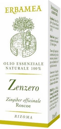 ZENZERO 10ML-1