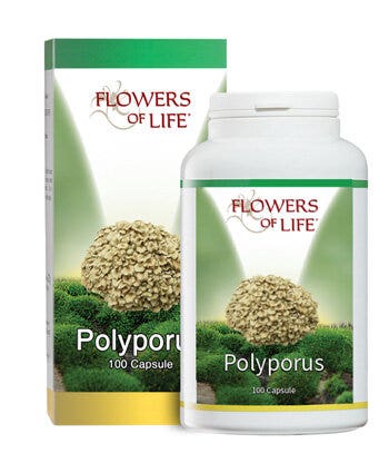 POLYPORUS 100CPS-2
