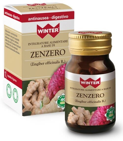 WINTER ZENZERO 40CPS VEG-1