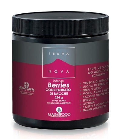 TERRANOVA SUPER SHAKE INT BERR-1