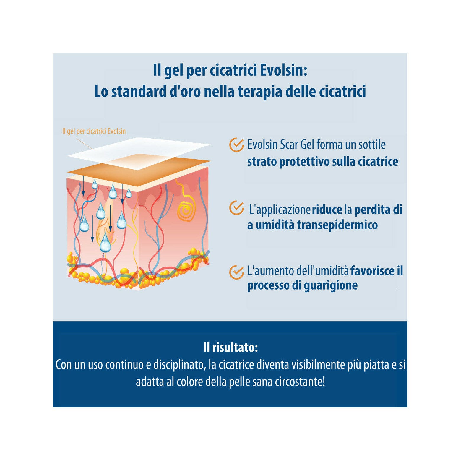 Evolsin Gel Silicone Per Cicatrici Per Bambini E Adulti 20g-8