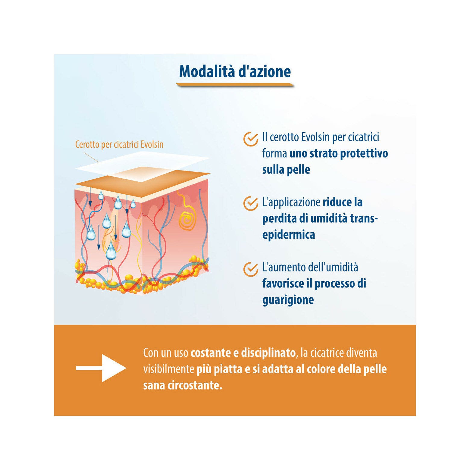 Evolsin Cerotto Trasparente per Cicatrici Di Ogni Tipo-2