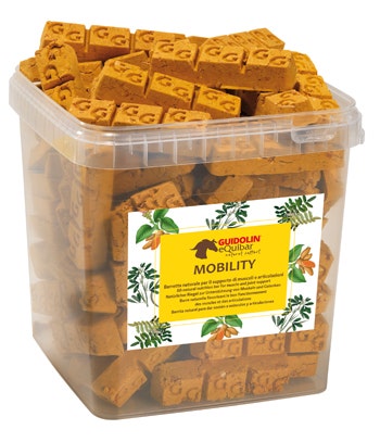 Equibar Mobility 2,5kg-1