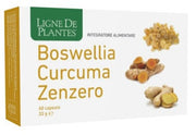 BOSWELLIA CURCUMA ZENZERO60CPS-1