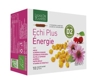 ECHI PLUS ENERGIE 10AMPOLLE-1