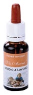 RIMEDIO STUDIO 20ML VIS ANIMI-1