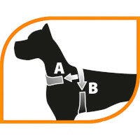 Ferplast Daytona P Pettorina In Nylon Soffice Imbottitura Taglia Media Per Cani-2