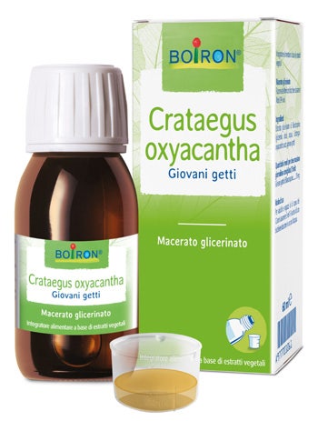 Crataegus Oxyacantha Macerato Glicerico 60ml  - 1