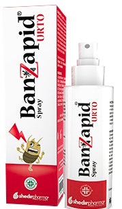 Banzapid Spray Trattamento 100ml  - 1